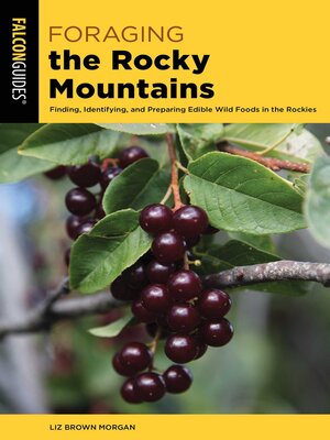 cover image of Foraging the Rocky Mountains